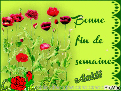 Bouquet rouge - Nemokamas animacinis gif