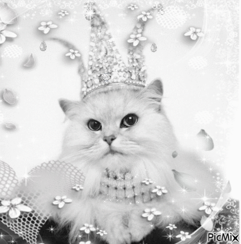 Queen Kitty - GIF animado gratis