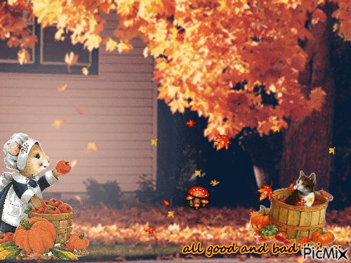 autum mouse herbst - Free animated GIF