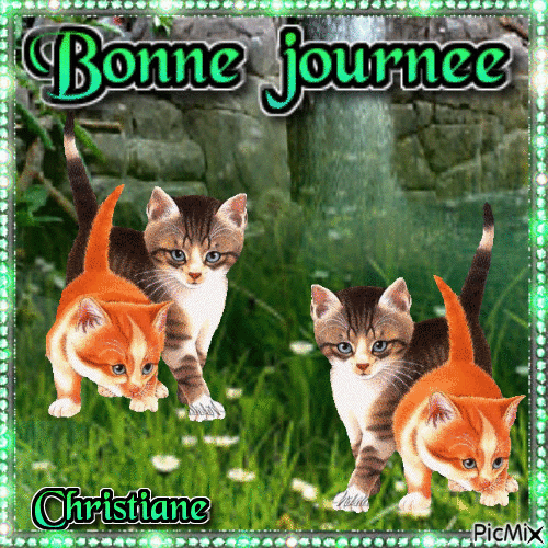 BONNE JOURNEE 06 01 - Bezmaksas animēts GIF