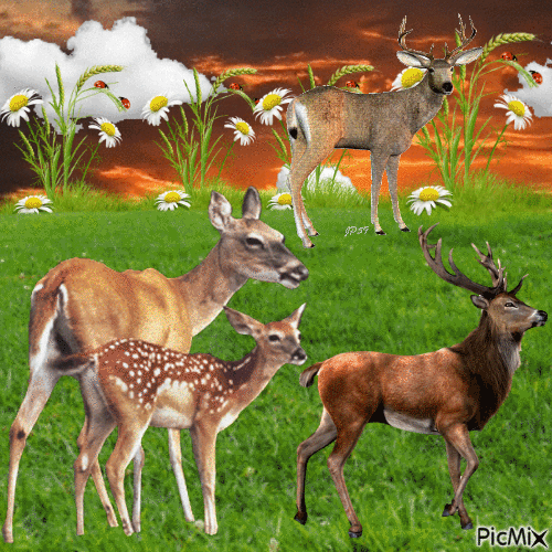 Deer - GIF animasi gratis