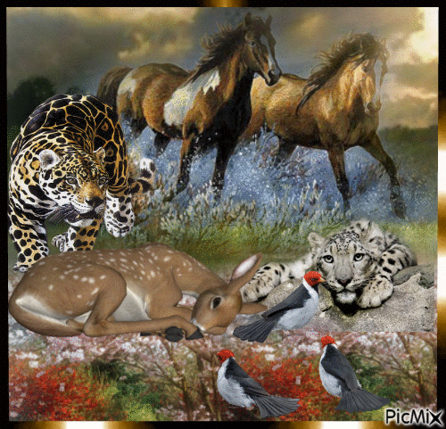 animaux sauvage - Ingyenes animált GIF
