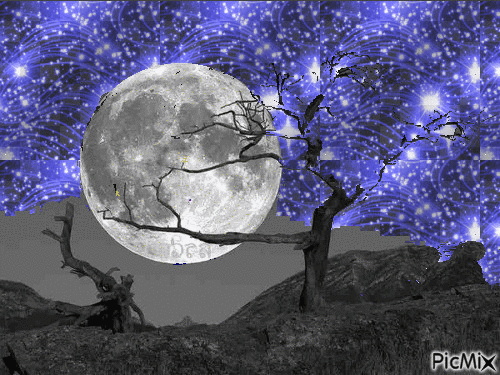 “La lune est le rêve du soleil.” - GIF animate gratis