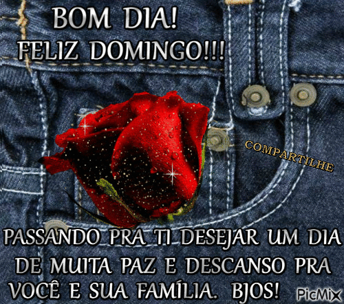 COMPARTILHE - Free animated GIF