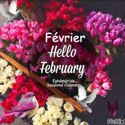 Hello February * Février - GIF animé gratuit