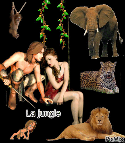 la jungle - GIF animate gratis