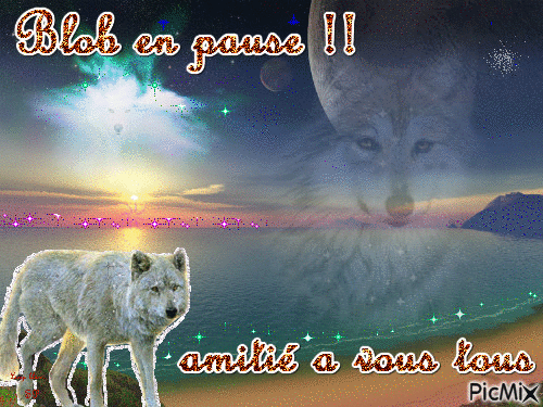 Loup blanc - Darmowy animowany GIF