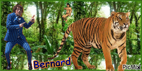 Bernard - Безплатен анимиран GIF