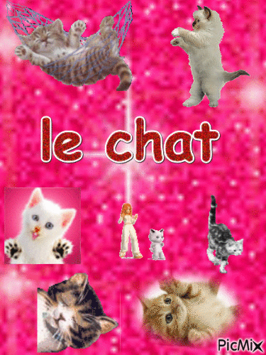 le chat - Бесплатный анимированный гифка