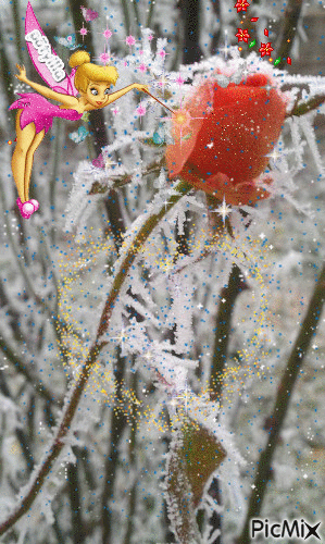 winter rose - Zdarma animovaný GIF