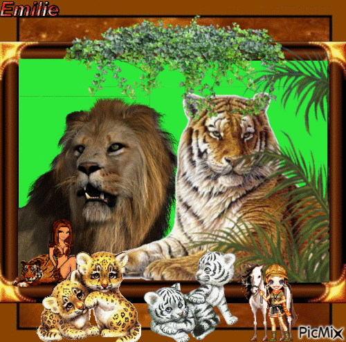 tigers and lions - GIF animate gratis