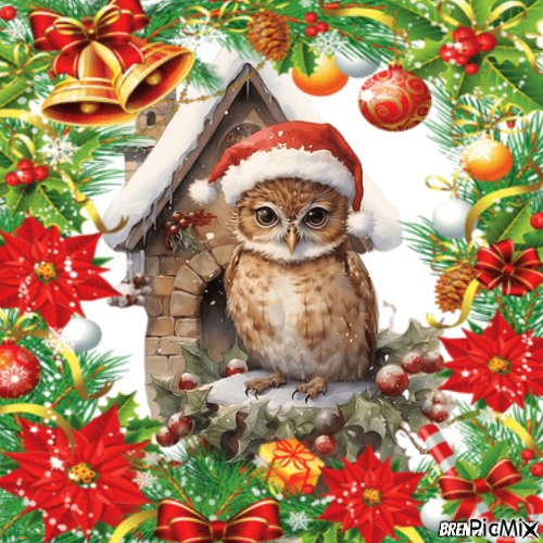 Christmas owl - безплатен png