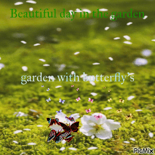 Garden - Bezmaksas animēts GIF