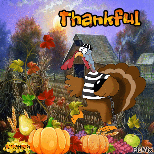 Thankful-thanksgiving-turkey - Darmowy animowany GIF