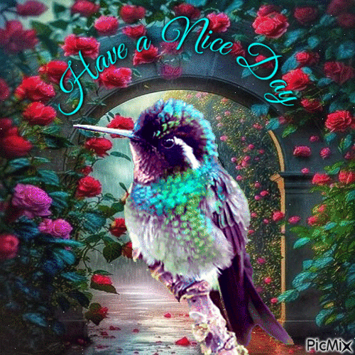 Have a Nice Day Hummingbird in a Rose Garden - GIF animé gratuit