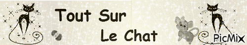 bannière - Bezmaksas animēts GIF