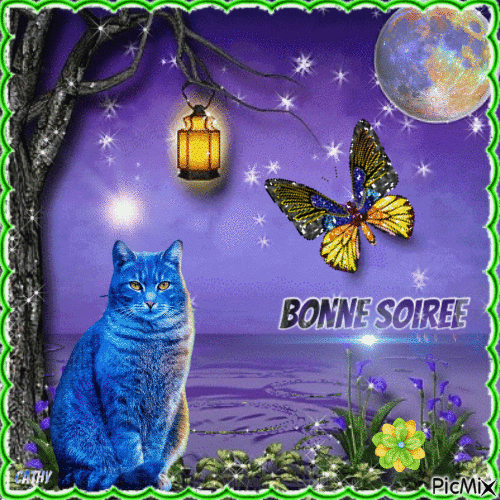 BONNE SOIRÉE - Бесплатни анимирани ГИФ