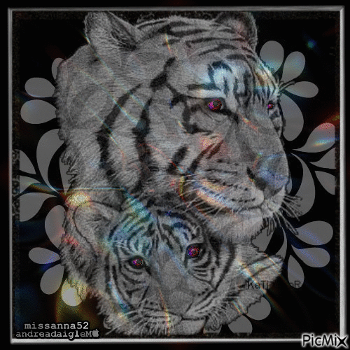 tigres animès ,,, - Gratis animeret GIF
