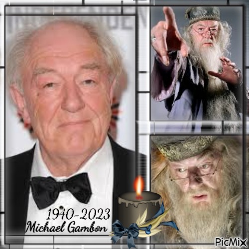 Michael Gambon (Harry Potter)...concours - darmowe png