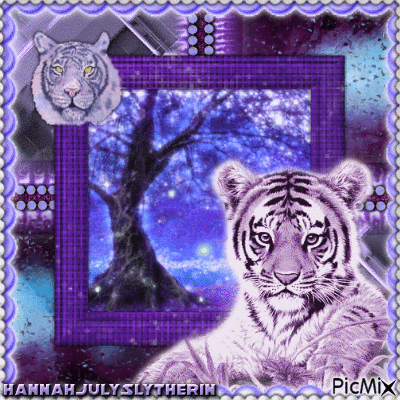 (Baby Tiger) - Free animated GIF
