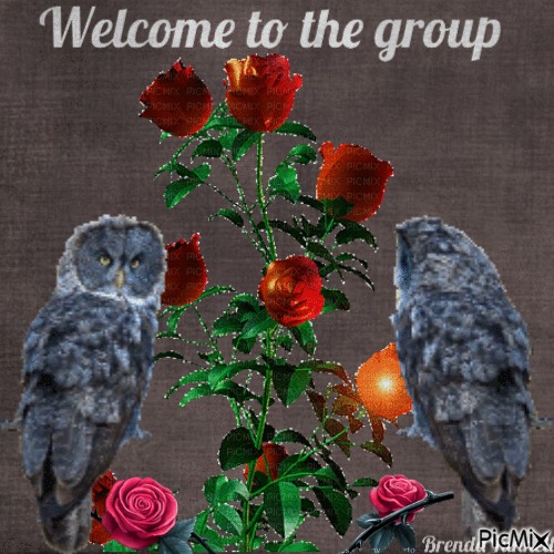 welcome owl - ücretsiz png