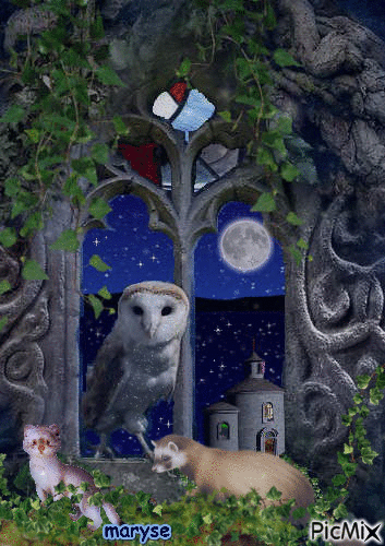 nuit - Ingyenes animált GIF