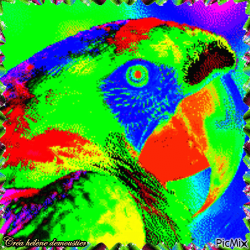 HD perroquet effet thermique - Nemokamas animacinis gif