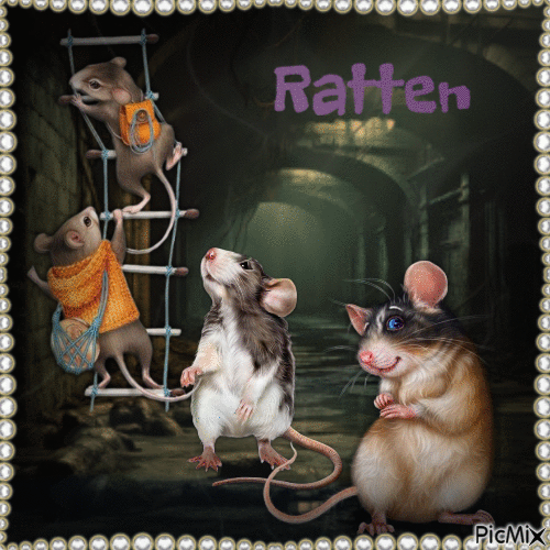 Ratten - Nemokamas animacinis gif