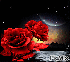 rosa luna - GIF animate gratis