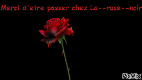 A la--rose--noir - Zdarma animovaný GIF