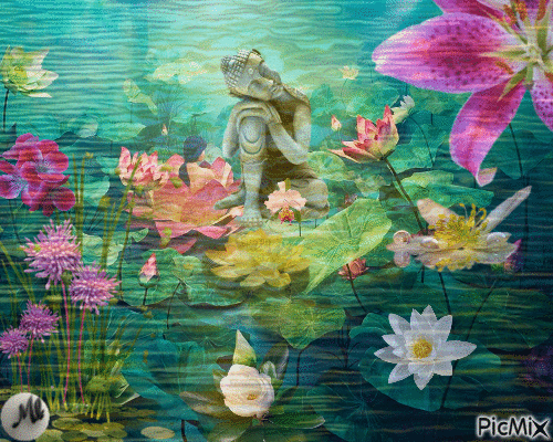 Espacio zen bajo el agua... - Free animated GIF