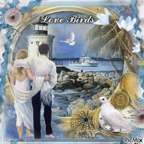 Love Birds <3 - Бесплатный анимированный гифка