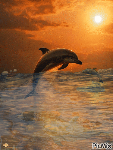 Delfines - GIF animado gratis