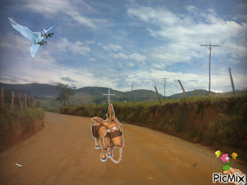 estrada - Bezmaksas animēts GIF