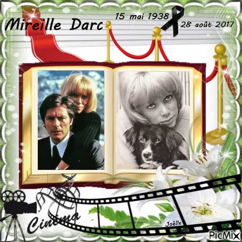 Mireille Darc ....... - Free PNG