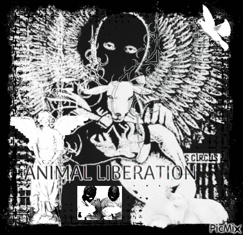 animal rights punk uhhhghj yes - 無料のアニメーション GIF