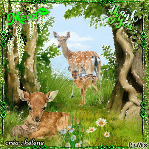 les animaux de la forêt _ Merci / Thank you - GIF animado gratis