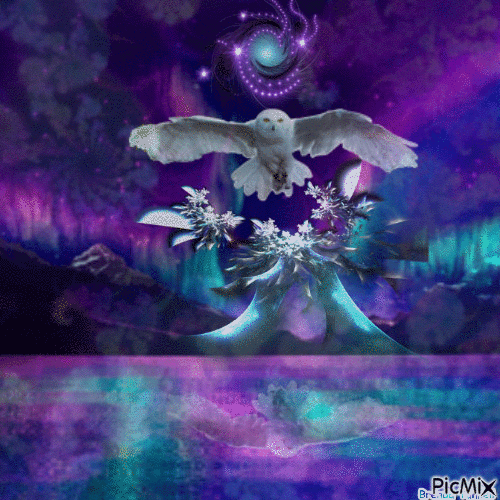 fractal owl - 無料のアニメーション GIF