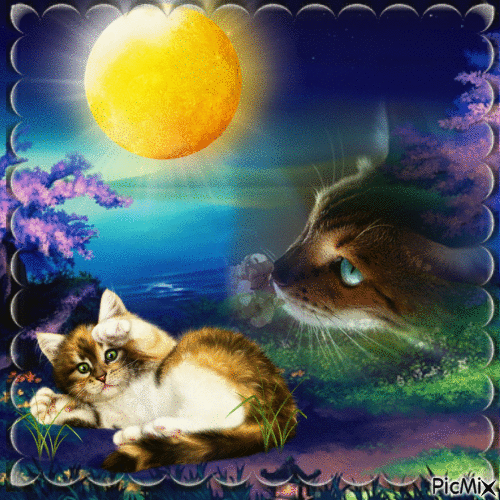 le chat de lune - Ingyenes animált GIF