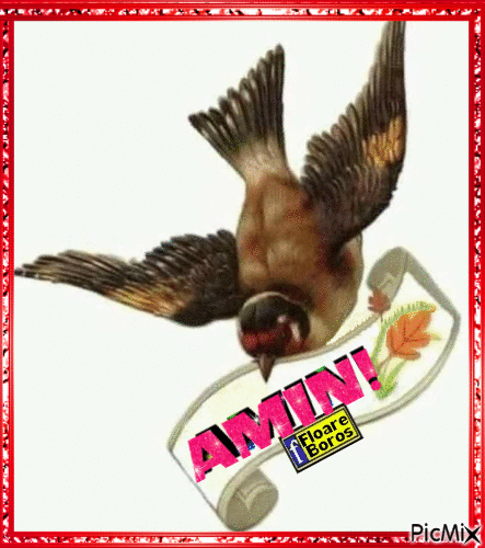 AMIN! - Безплатен анимиран GIF