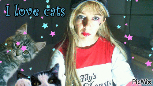 I love cats - GIF animé gratuit