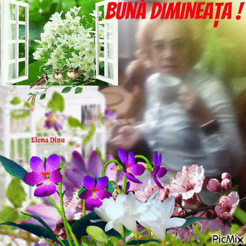 Elena Dinu - Darmowy animowany GIF