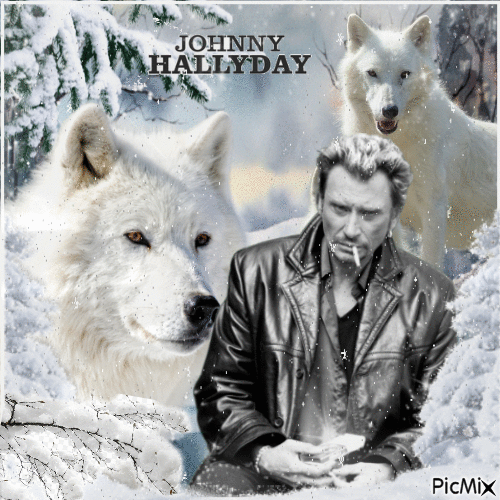 Wölfe und Johnny Hallyday - Darmowy animowany GIF