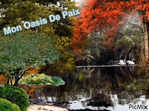 mon oasis de paix - Gratis animerad GIF