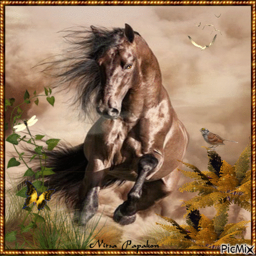 galloping the horse - 無料のアニメーション GIF