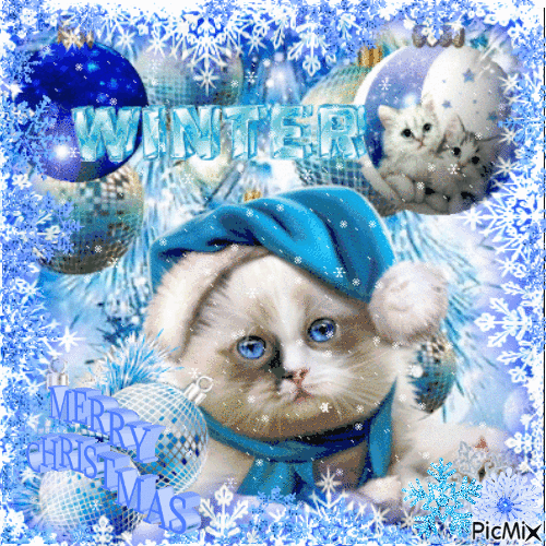 Christmas cat in blue - Ingyenes animált GIF