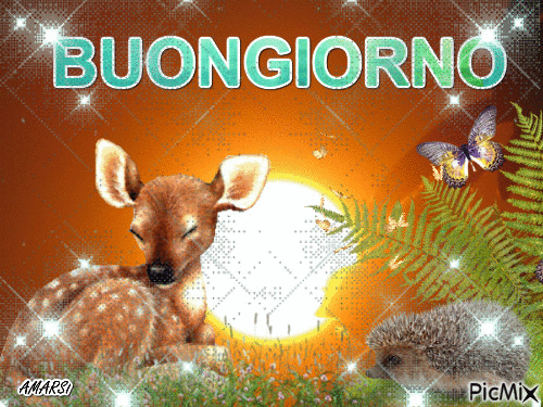 BUONGIORNO - Darmowy animowany GIF