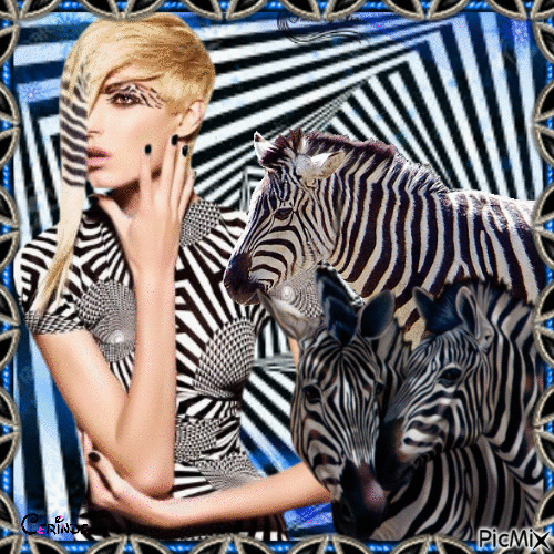 Zebra Blue - Free animated GIF