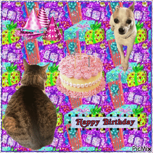 Pets birthday party - Free animated GIF