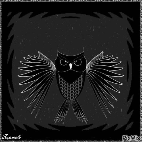 Coruja - Owl - GIF animado grátis